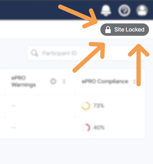 Размытое изображение правого верхнего квадранта eCOA с неразмытым индикатором Site Locked.